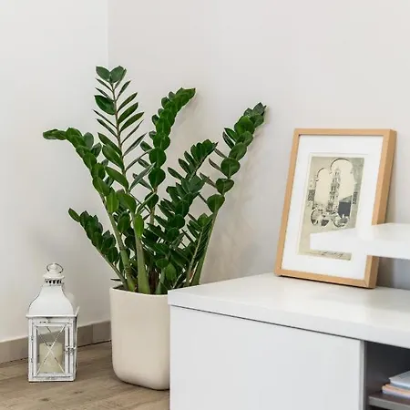 Top Location Apartment 