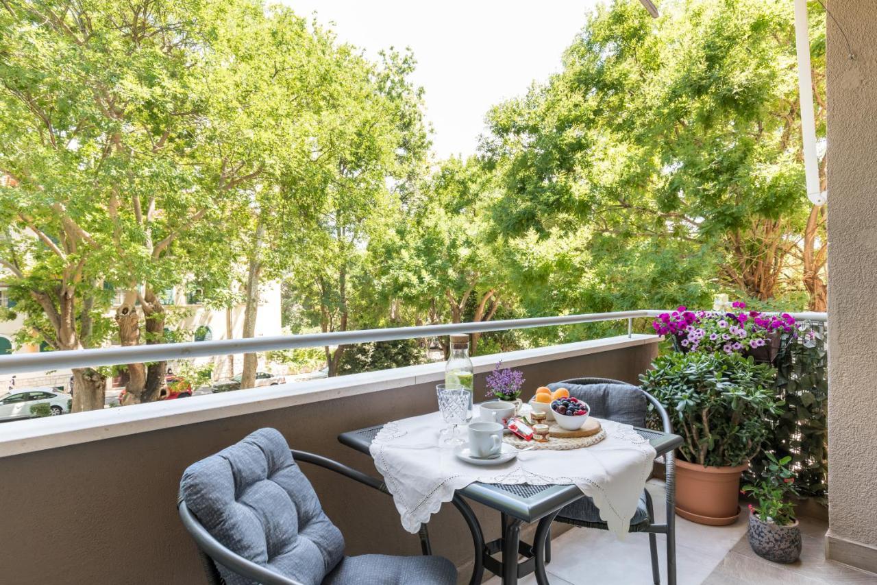 Appartement Location 